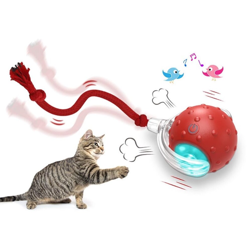 Interactive Cat Toys Ball for Indoor Automatic Fast Rolling on Carpet Chirping(1